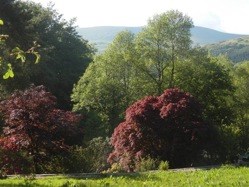 Villa Llety Morben Machynlleth Exterior foto