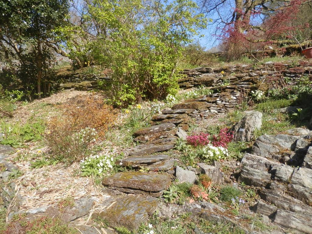 Villa Llety Morben Machynlleth Exterior foto