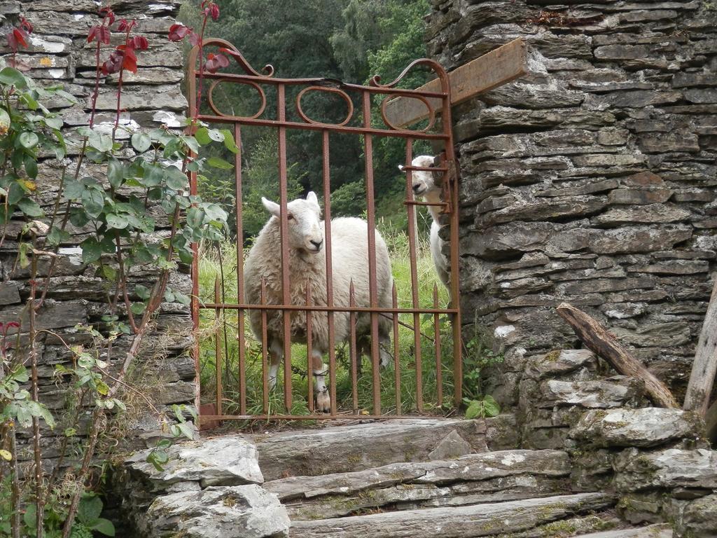 Villa Llety Morben Machynlleth Exterior foto